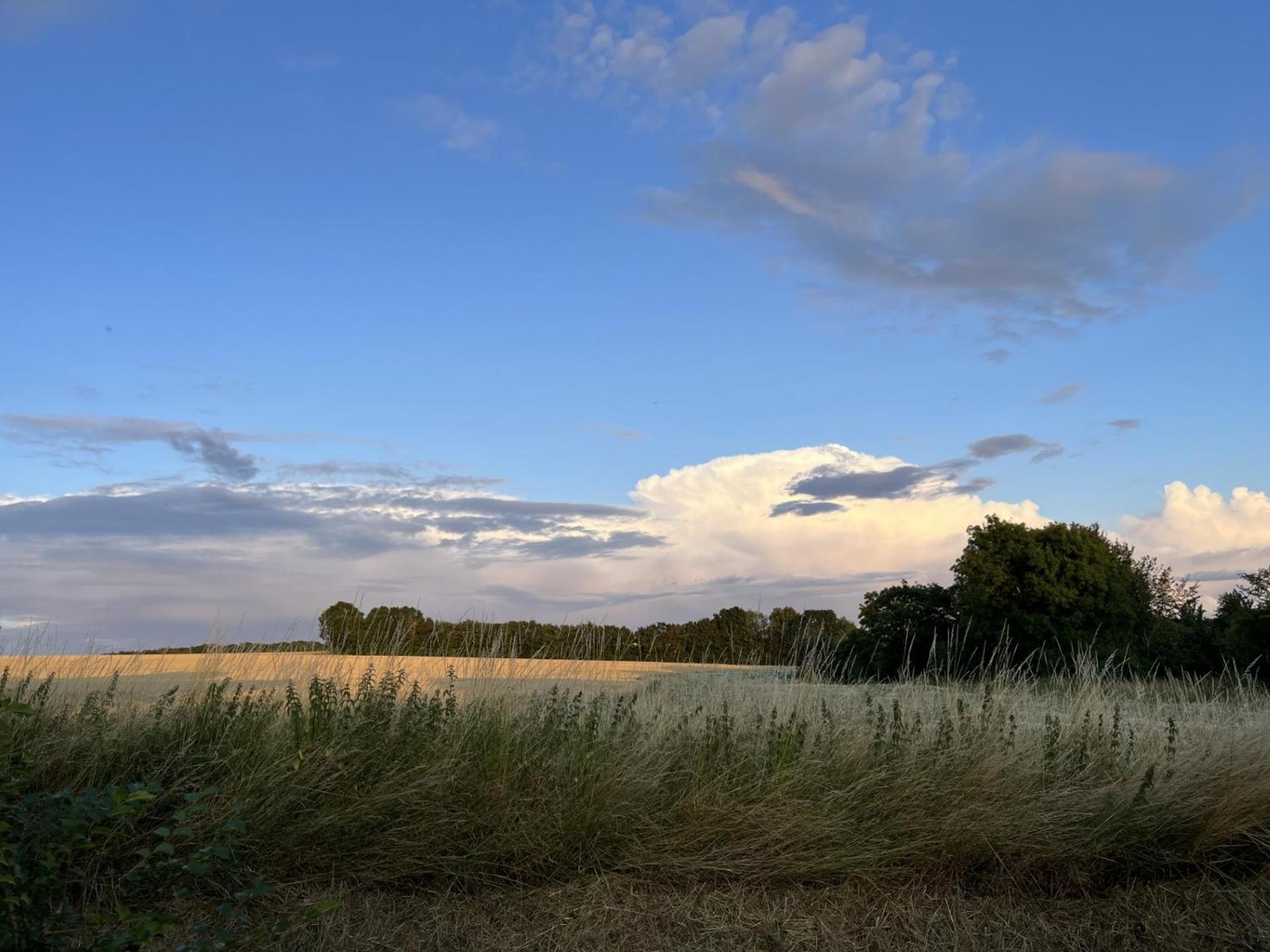 Willow Barn, Лонґ-Мелфорд Екстер'єр фото